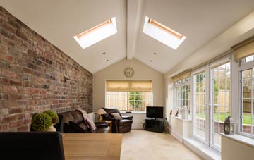 conservatory roof insulation Tyrells Wood, Surrey