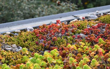 the cost of Tyrells Wood green roof installation