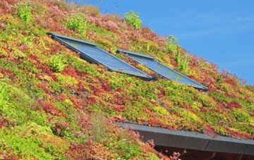 Tyrells Wood living roof systems